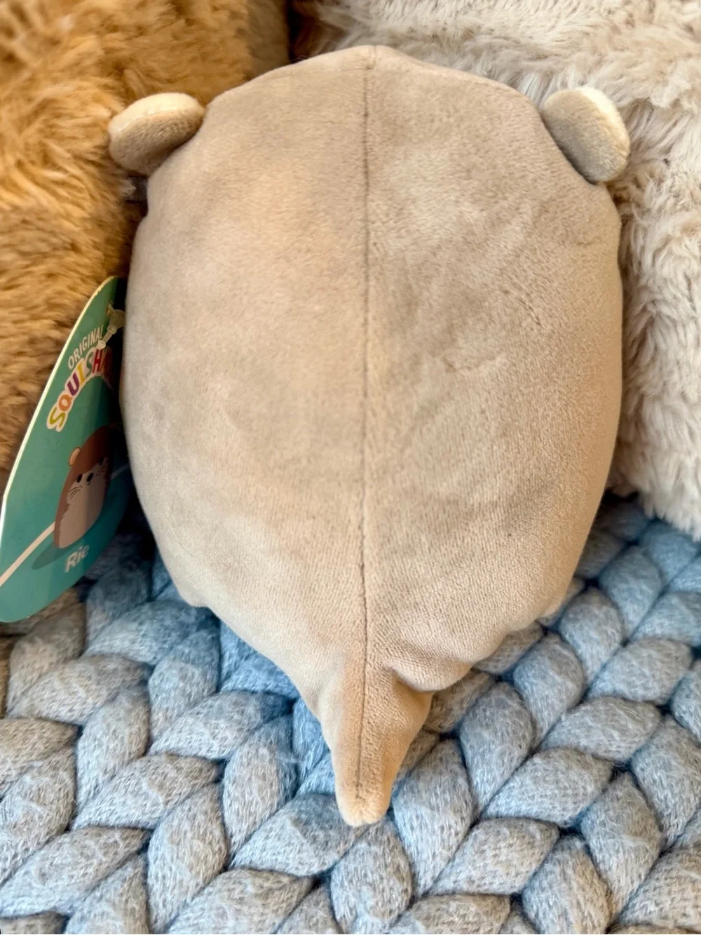 Squishmallows Rie Otter 5” Plush NWT Brown Cream Kellytoy